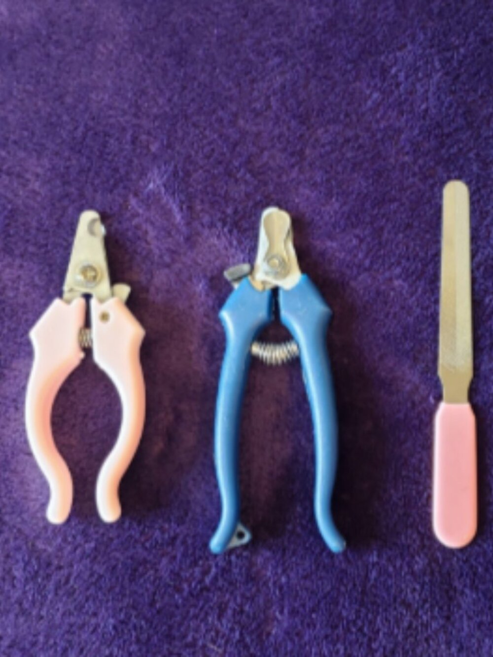 New 3 Piece Small Dog Cat Pet Stainless Steel Toenail Clippers & File Set